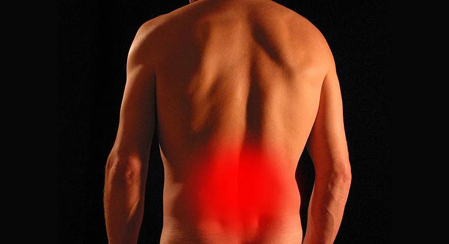 How Are Signals of Pain Communicated In The Body?