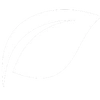 Leaf Icon
