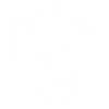 Shield Icon